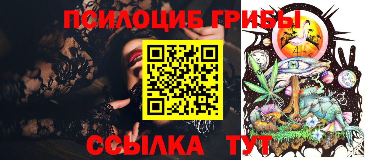 Галлюциногенные грибы Psilocybine cubensis Ливны