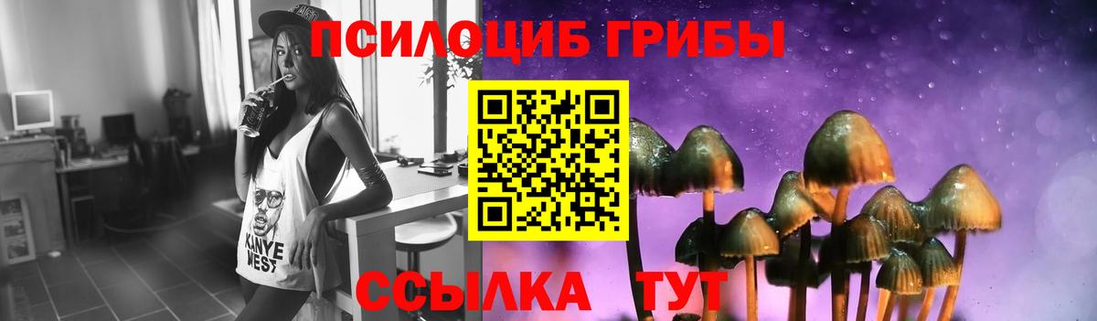 Ливны  Псилоцибиновые грибы MAGIC MUSHROOMS  Вход с VPN 