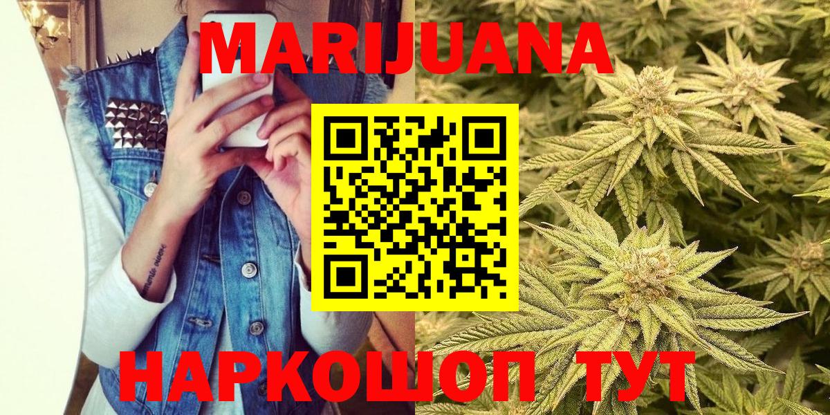 Конопля сатива Ливны